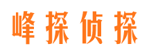 林西市调查公司